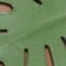PALM SANDAL | LEAF