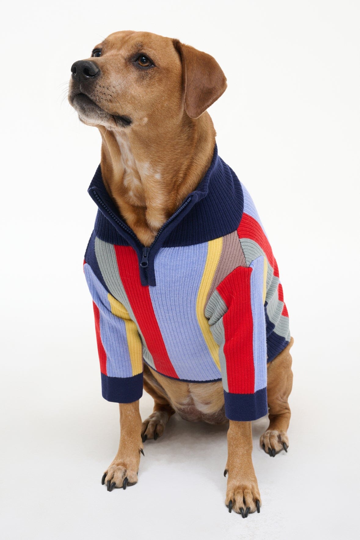 PET HAMPTON SWEATER | MARKET STRIPE
