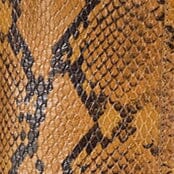 WESTERN WALLY BOOT | SNAKE