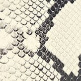 OLLIE BAG | WHITE SNAKE